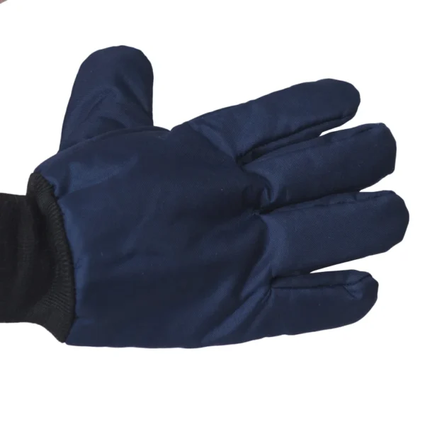 Luva térmica Nylon Frigorifico/ Câmara Fria azul Maicol CA 10978 - Image 3